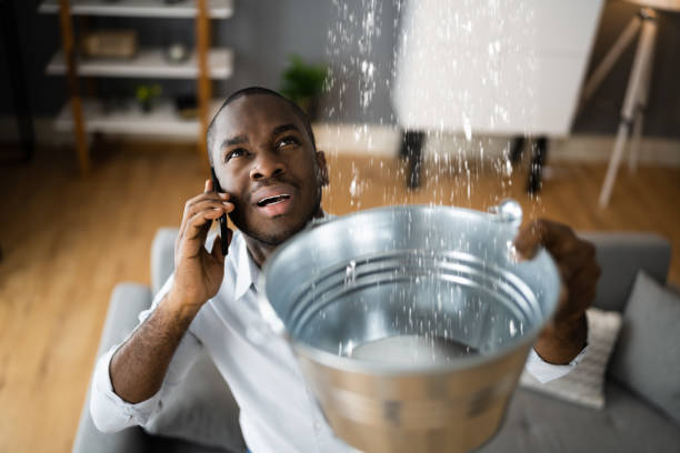 Best Local water damage restoration  in Westchester, FL