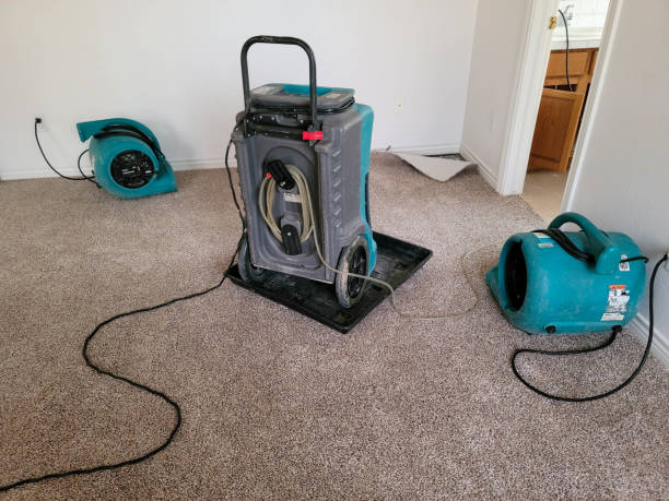 Best Flood restoration services  in Westchester, FL
