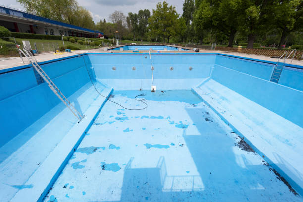 Best Flood damage cleanup  in Westchester, FL