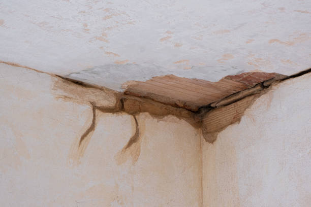 Best Water damage contractors near me  in Westchester, FL