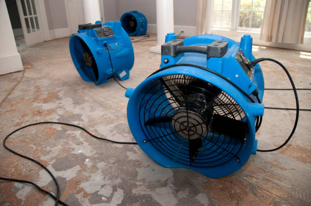 Water damage restoration process in Westchester, FL