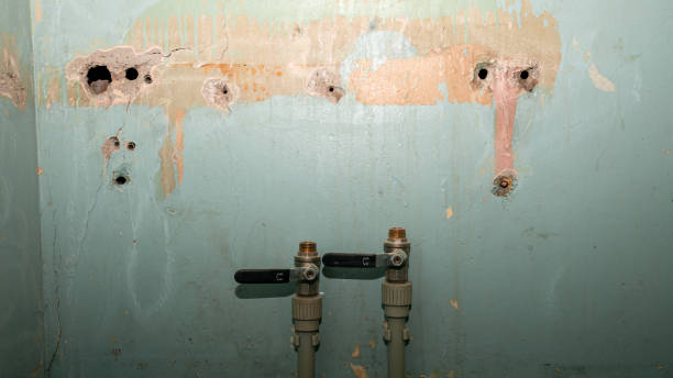 Best Residential water damage restoration  in Westchester, FL