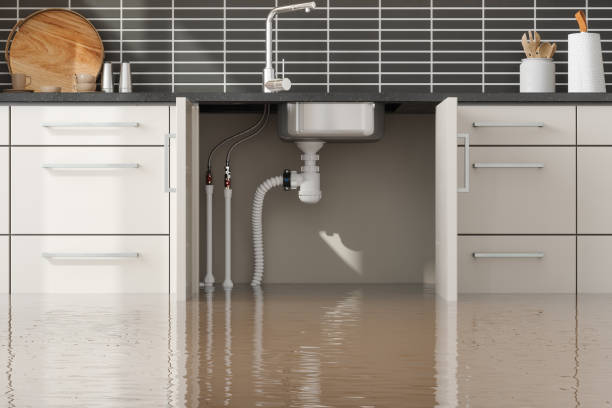 Best Water damage restoration near me  in Westchester, FL