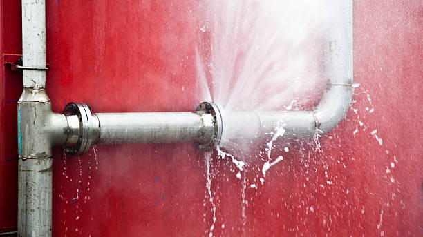 Best Mold removal after water damage  in Westchester, FL